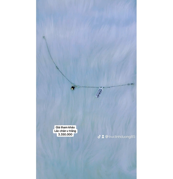 KVPLVT 004