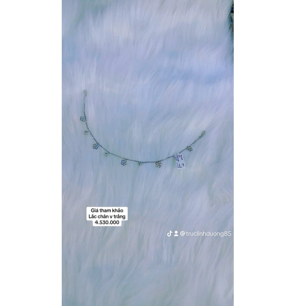 KVPLVT 006